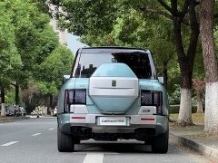 Yangwang U8 Luxury Edition - ფოტო 4