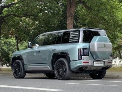 Yangwang U8 Luxury Edition - ფოტო 6