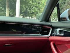 Porsche Panamera 2.9T - ფოტო 16