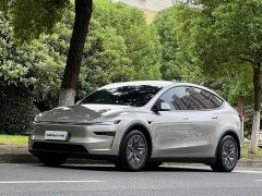 Tesla Model Y L Long Range Edition - ფოტო 1