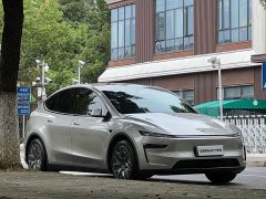 Tesla Model Y L Long Range Edition - ფოტო 3