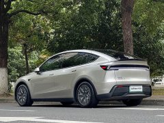 Tesla Model Y L Long Range Edition - ფოტო 6