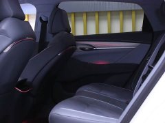 Voyah AWD Edition - ფოტო 17