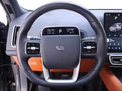 Li Auto L9 Max - ფოტო 16