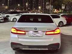 BMW 5 530Li Version M - ფოტო 3