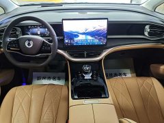 Denza D9 DM-i 980 AWD Version - ფოტო 7