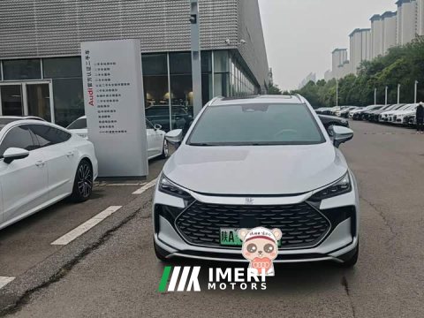 2025 BYD DM-i 115KM Version - ავტომობილი ჩინეთიდან
