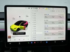 Tesla Model Y Edition - ფოტო 16