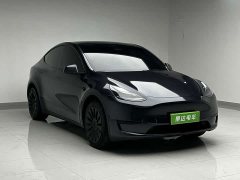 Tesla Model Y Edition - ფოტო 3