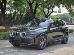 BMW X5 xDrive 30Li Deluxe VersionM - ფოტო 1