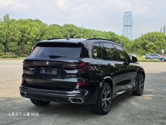 BMW X5 xDrive 30Li Deluxe VersionM - ფოტო 11