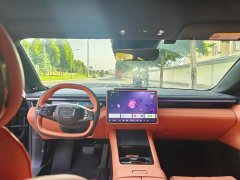 Lynk & Co 10 240AWDUltra - ფოტო 4