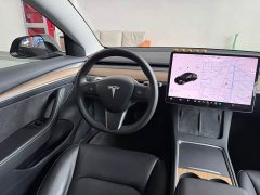 Tesla Model 3 Standard Range Edition - ფოტო 11