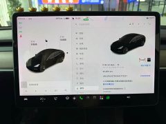 Tesla Model 3 Standard Range Edition - ფოტო 8