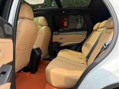 BYD L DM-i 112km Version - ფოტო 8