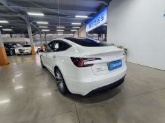 Tesla Model 3 Long Range Edition - ფოტო 12