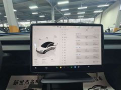 Tesla Model 3 Long Range Edition - ფოტო 9