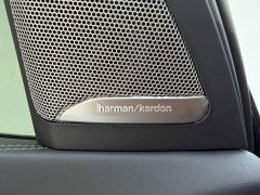 BMW X5 xDrive 30Li Deluxe VersionM - ფოტო 13