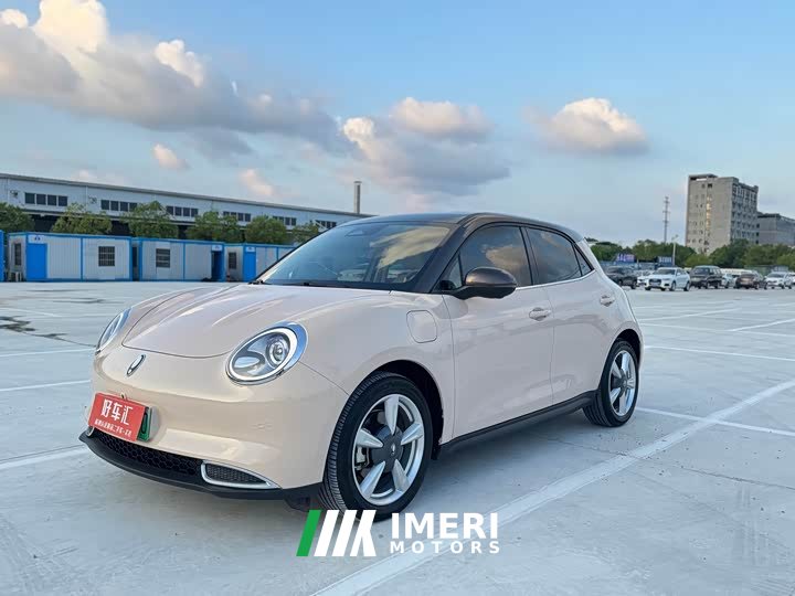 Ora Edition 400kmStandard Range Premium Version - ავტომობილი ჩინეთიდან