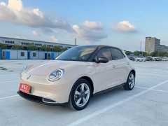 Ora Edition 400kmStandard Range Premium Version - ფოტო 1