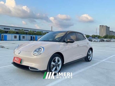 2022 Ora Edition 400kmStandard Range Premium Version - ავტომობილი ჩინეთიდან