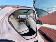 Ora Edition 400kmStandard Range Premium Version - ფოტო 16