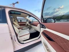 Ora Edition 400kmStandard Range Premium Version - ფოტო 20