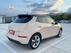 Ora Edition 400kmStandard Range Premium Version - ფოტო 6