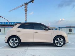 Ora Edition 400kmStandard Range Premium Version - ფოტო 7