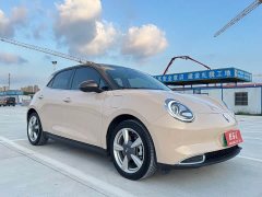 Ora Edition 400kmStandard Range Premium Version - ფოტო 8
