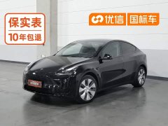 Tesla Model Y Edition - ფოტო 1
