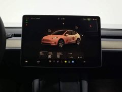 Tesla Model Y Edition - ფოტო 12