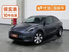 Tesla Model Y Edition - ფოტო 1