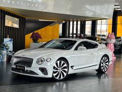 Porsche 4.0T GT V8 Edition - ფოტო 1