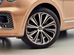 Porsche 4.0T V8 Edition - ფოტო 17
