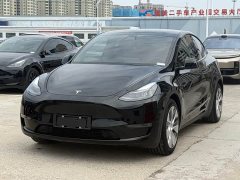 Tesla Model Y Standard Range Edition - ფოტო 1
