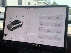 Tesla Model Y Standard Range Edition - ფოტო 10
