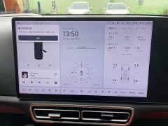 Li Auto L8 Pro - ფოტო 13