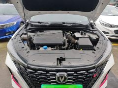 Changan PLUS NE 1.4T GDI DCT Edition - ფოტო 20