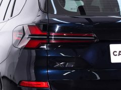 BMW X5 xDrive 30Li Deluxe VersionM - ფოტო 11