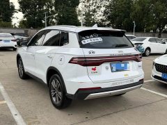 BYD Pro 1.5T Luxury Version - ფოტო 11