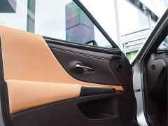Lexus ES 300h Edition - ფოტო 10
