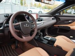 Lexus ES 300h Edition - ფოტო 9