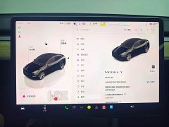 Tesla Model Y Edition - ფოტო 17