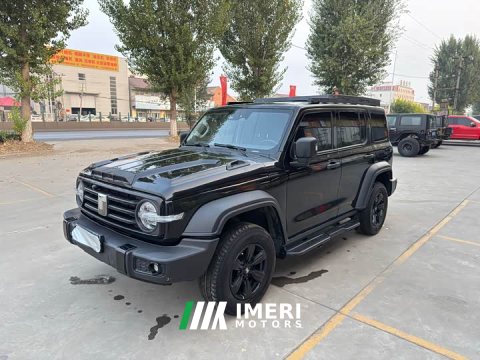 2024 Tank 300 2.0T - ავტომობილი ჩინეთიდან