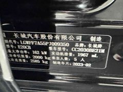 Tank 300 Off-Road Edition 2.0T - ფოტო 4