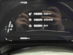 Tank 300 Off-Road Edition 2.0T - ფოტო 5