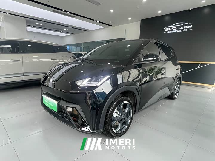BYD 305km Edition - ავტომობილი ჩინეთიდან