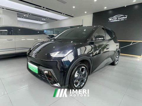 2024 BYD 305km Edition - ავტომობილი ჩინეთიდან