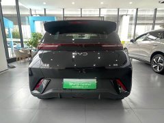 BYD 305km Edition - ფოტო 13